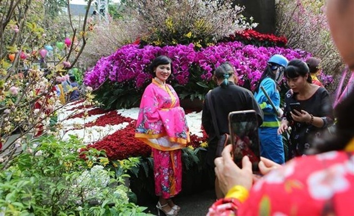 5th Hanoi cherry blossom festival to be held next March - 1