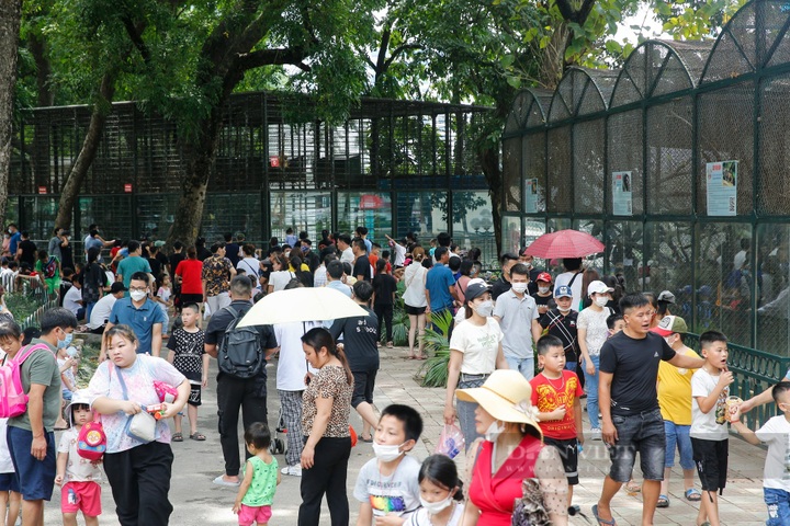 Hanoi, HCM City parks crowded on International Children’s Day - 2