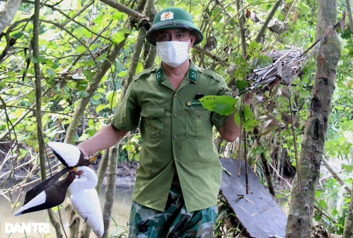 Wild bird hunting remains rampant in Ha Tinh - 3 Wild bird hunting remains rampant in Ha Tinh - 3