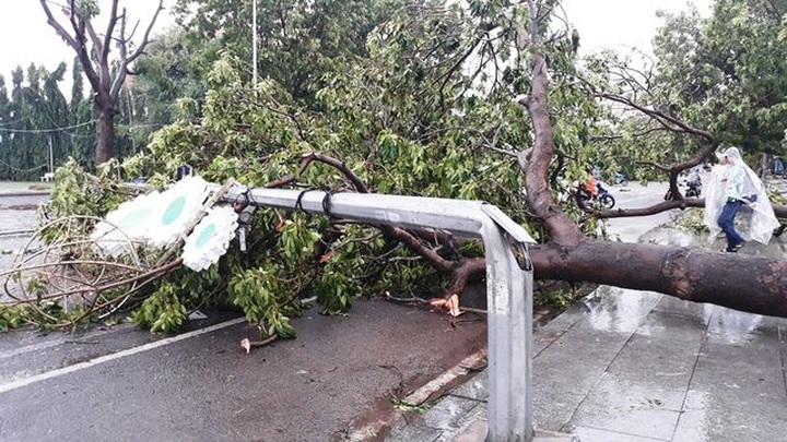 Storm Matmo ravages central Vietnam - 2