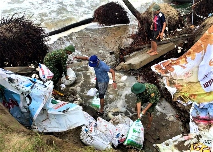 Nearly 100 people join in saving Hoi An beach from erosion - 5