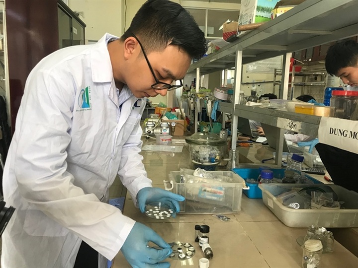 University research team makes rechargeable batteries out of rice husks - 1