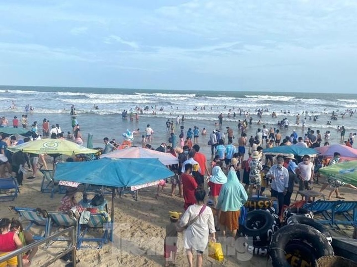 VND2-trillion park planning by Vung Tau beach approved - 1