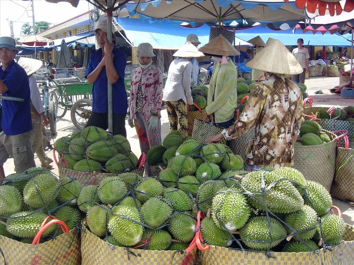 Vietnamese durians officially exported to China - 1