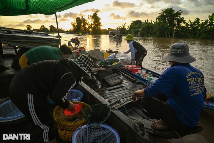 Fish hunting season in Mekong Delta region’s flood season - 6 Fish hunting season in Mekong Delta region’s flood season - 6