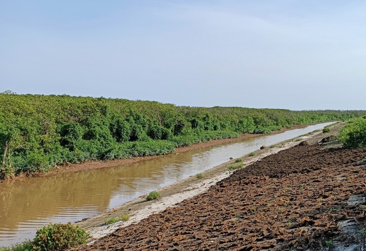 ADB supports sustainable forestry and biodiversity - 1 ADB supports sustainable forestry and biodiversity - 1