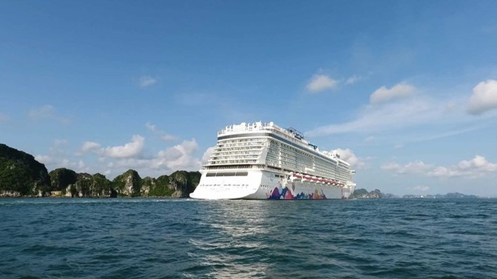 International cruise ships bring visitors to Ha Long - 1