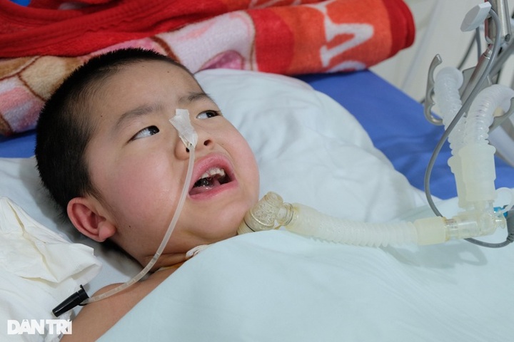 Dantri/DTiNews readers support poor boy facing encephalitis - 1