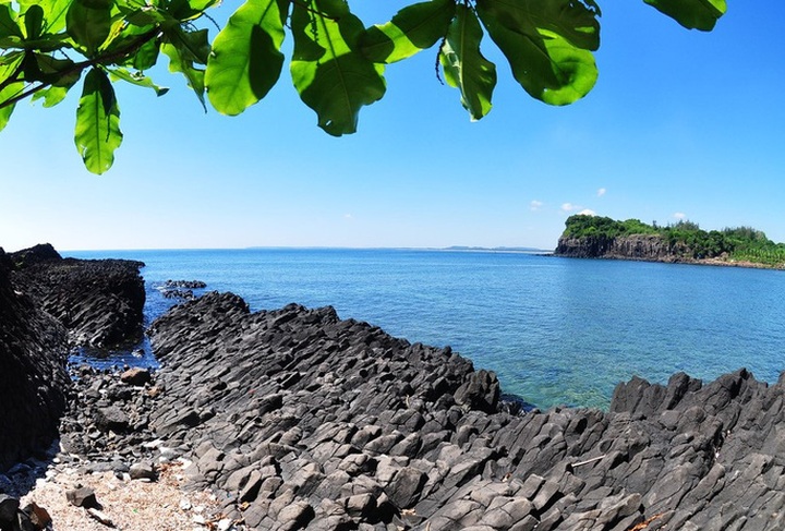 Quang Ngai nearshore coral reef amazes visitors - 3