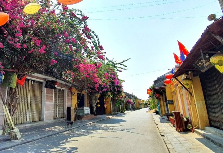Hoi An turns quite amid pandemic - 5