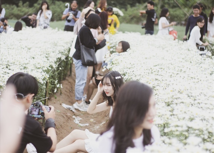 Hanoians flock to daisy garden for photos - 5