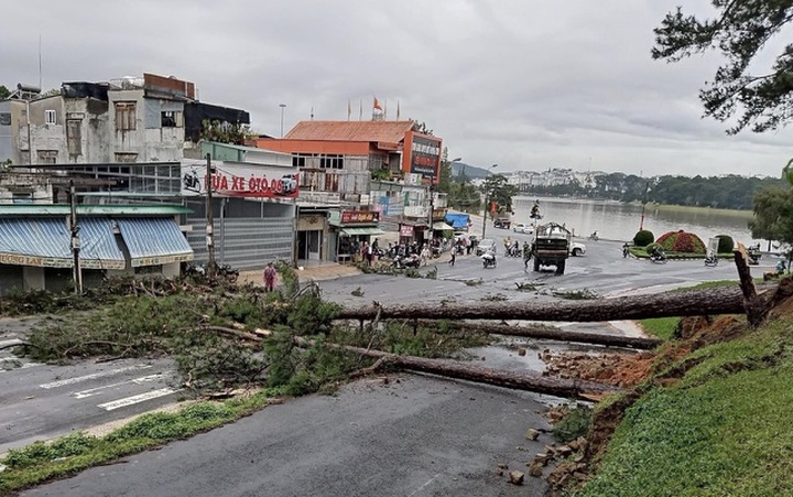 Heavy rain causes severe landslides in Dalat, tourists evacuated - 1