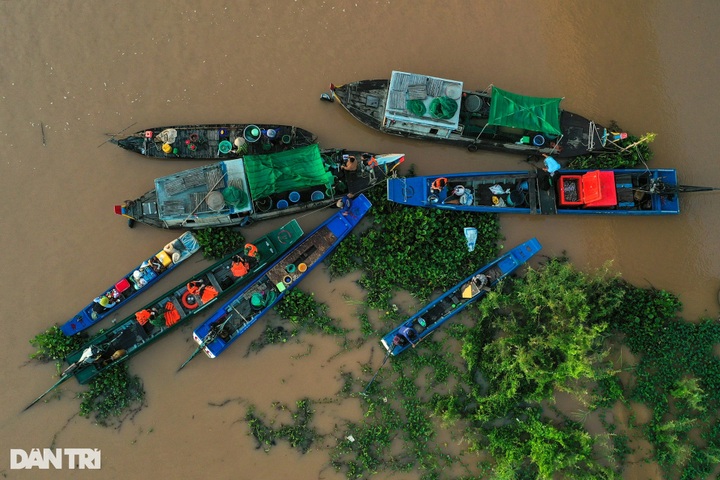 Fish hunting season in Mekong Delta region’s flood season - 5 Fish hunting season in Mekong Delta region’s flood season - 5