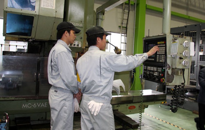 Over 46,000 Vietnamese illegally work abroad - 1