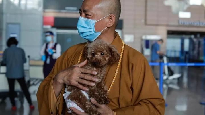 Chinese monk who saved 8,000 strays is dog's best friend - 1