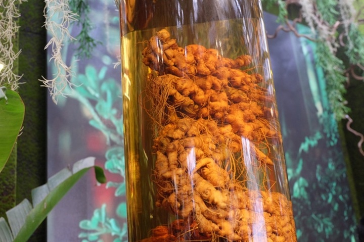 What's on May 25-31 (Daily updated) - 3