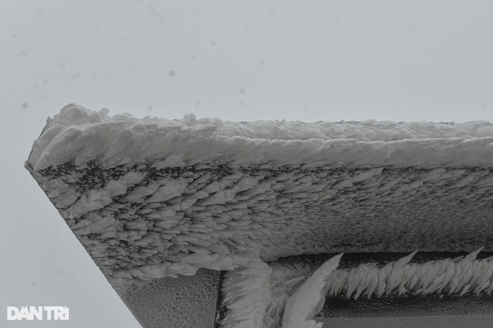 Lang Son mountain covered in frost - 8