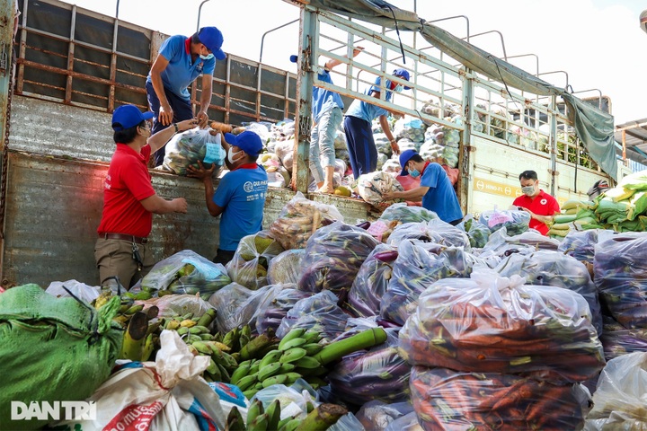 Quang Binh people send fish to support HCM City - 2