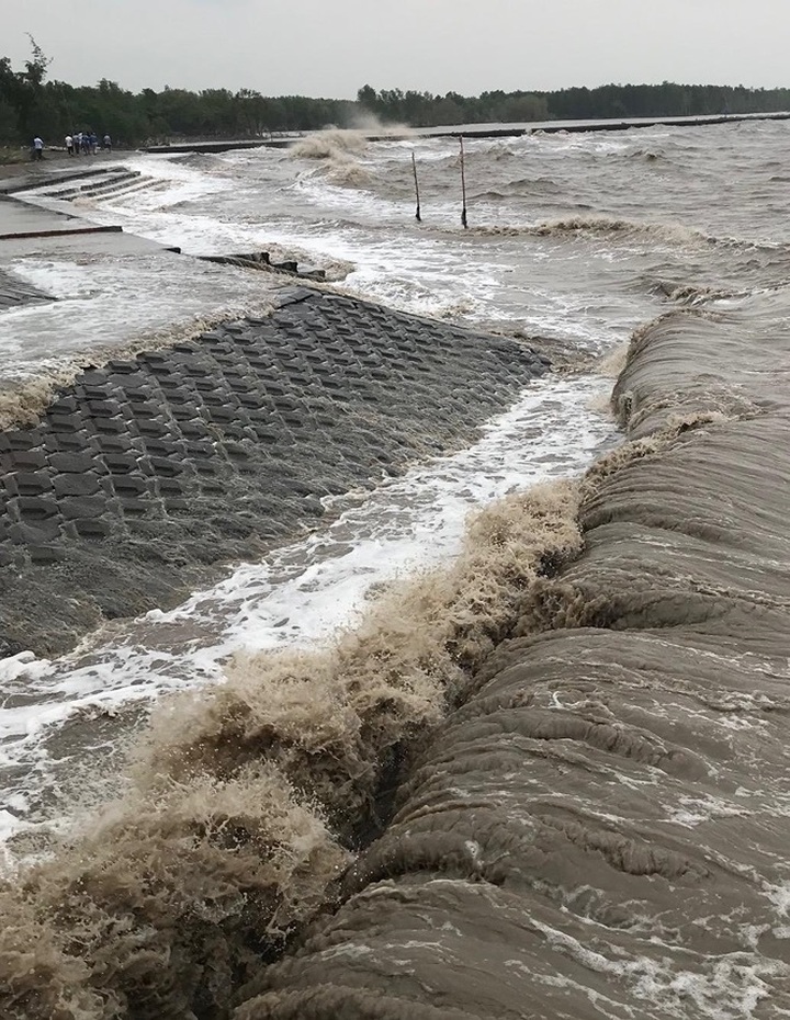 Ca Mau continues struggling with dyke erosion - 2 Ca Mau continues struggling with dyke erosion - 2