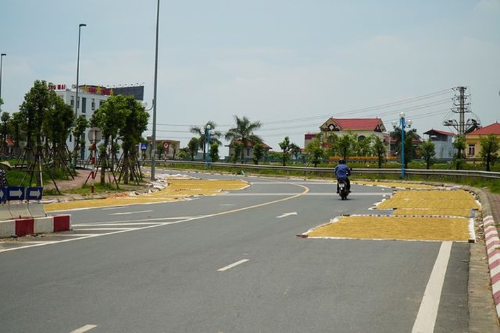 Hanoi farmers dry rice on streets - 7