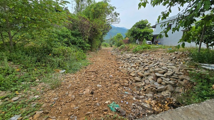 Hundreds of Danang households struggle with water scarcity - 1