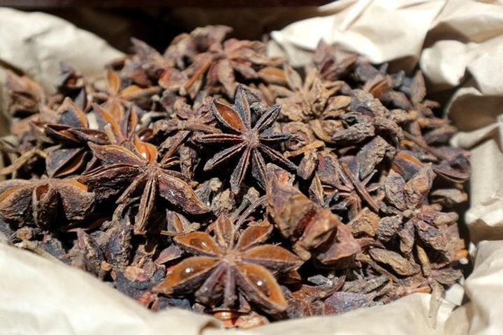 Hoi An opens traditional medicine museum - 2