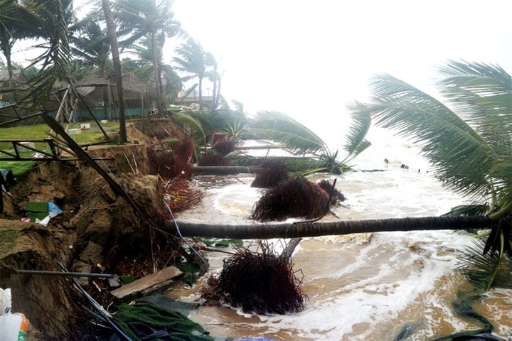Hoi An luxury resorts threatened by erosion - 6 Hoi An luxury resorts threatened by erosion - 6