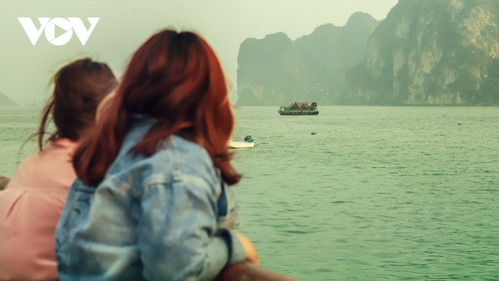 White stork flocks at Ha Long Bay - 6