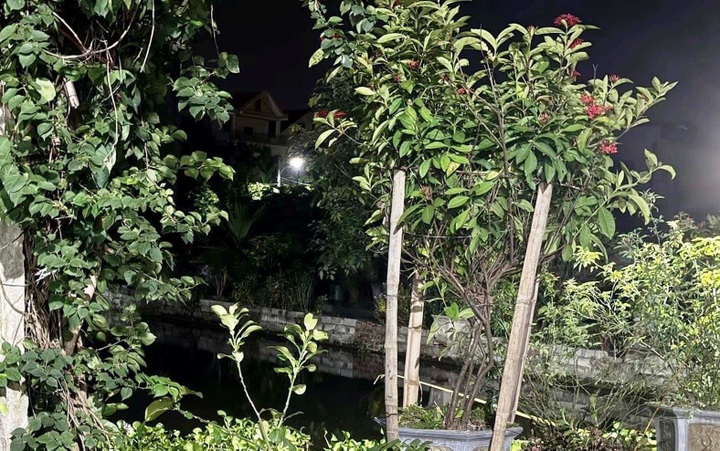 Three children drown at Ninh Binh pond - 1