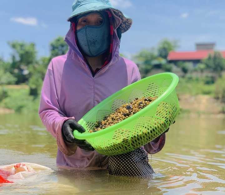 Clam season in Ha Tinh river - 3