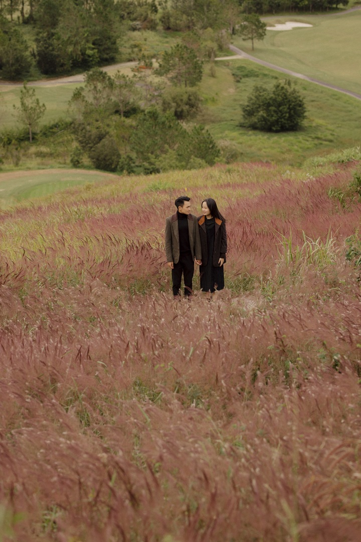 Da Lat’s stunning pink grass hills attract visitors - 4