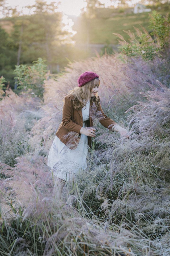 Da Lat’s stunning pink grass hills attract visitors - 2