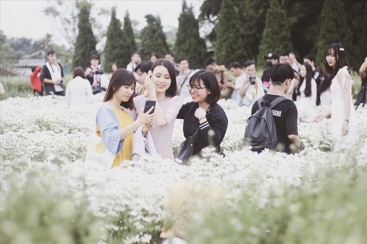 Hanoians flock to daisy garden for photos - 1