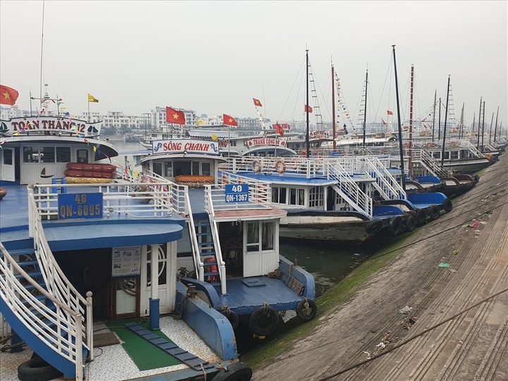 Hundreds of tour boats in Ha Long Bay left idle - 1