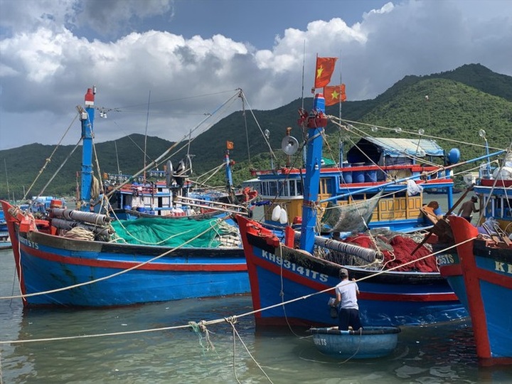 Rising fuel prices make fishing boats to be idle - 1