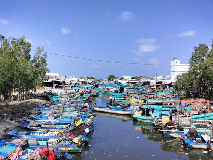 Drought worsens erosion in Ca Mau - 1 Drought worsens erosion in Ca Mau - 1