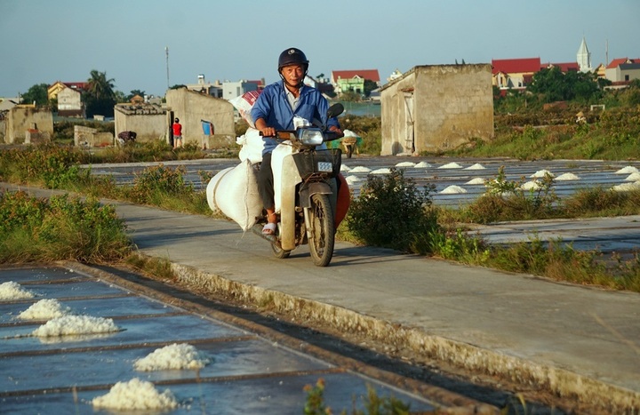 Salt farmers take advantages of hot weather - 5