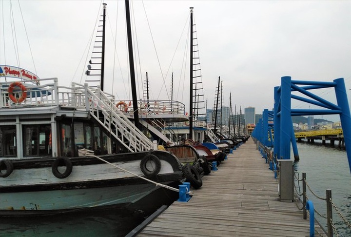 Hundreds of boats in Ha Long wait for end of Covid-19 outbreak - 1