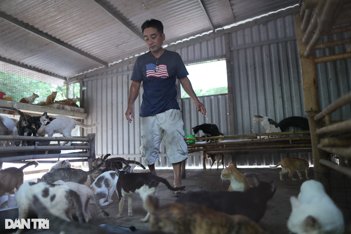 HCM City woman saves hundreds of dogs from slaughterhouses - 5