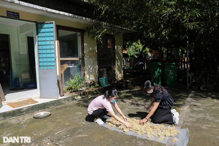 Saigon Zoo elephant dung used to make paper - 7 Saigon Zoo elephant dung used to make paper - 7