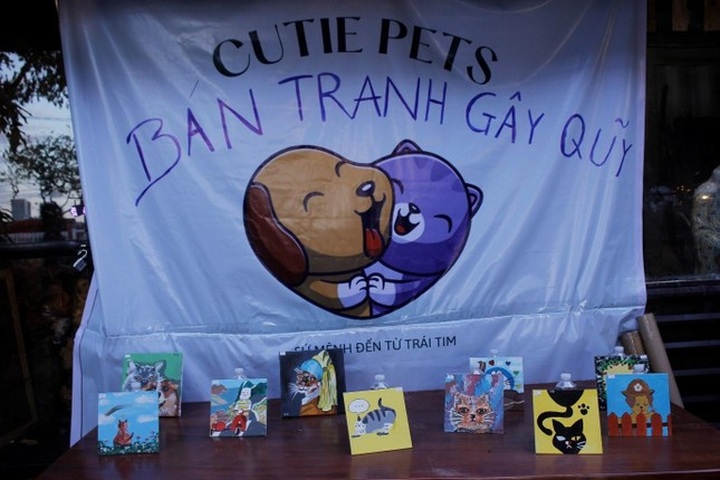 Danang team raises funds for dog and cat rescue - 1