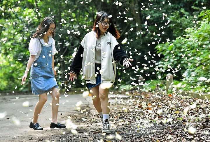 Cuc Phuong National Park again wins at World Travel Award 2023 - 1 Cuc Phuong National Park again wins at World Travel Award 2023 - 1