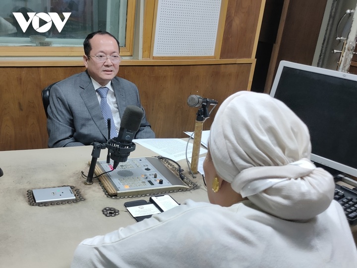 Ample room for Vietnam – Egypt economic cooperation - 1