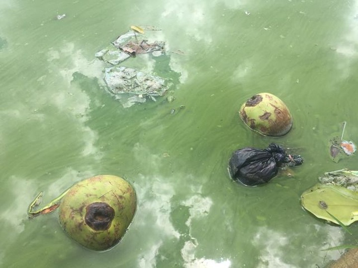 Mountainous town battles waste disposal headache - 7 Mountainous town battles waste disposal headache - 7