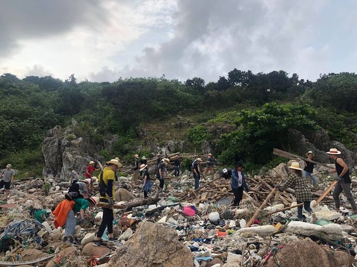 Young people clean up Son Tra Peninsula - 2 Young people clean up Son Tra Peninsula - 2