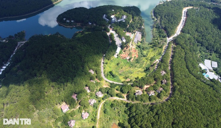 Villas left abandoned in Da Lat pine forest - 5