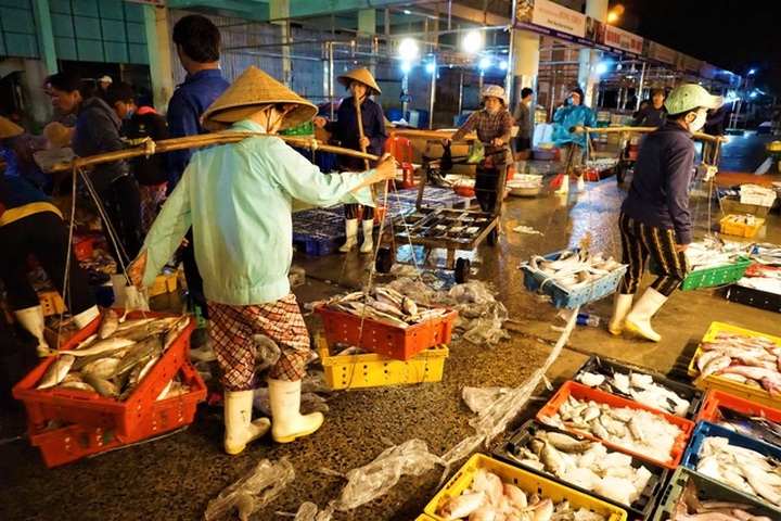 Busy night at central Vietnam’s largest fish port - 9