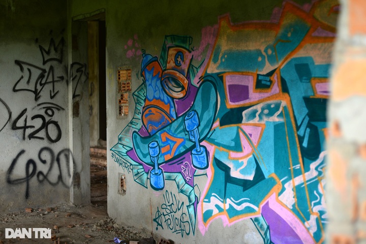 Villas left abandoned in Da Lat pine forest - 2