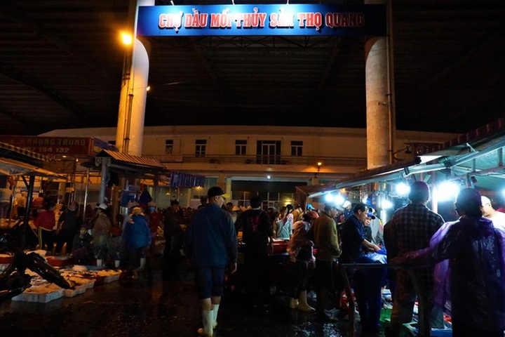 Busy night at central Vietnam’s largest fish port - 10