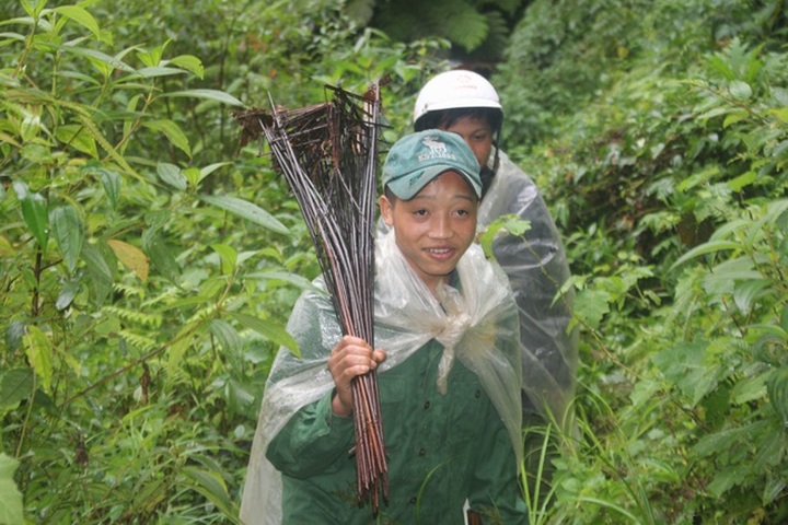 Aristocrat rat hunting season starts in Kon Tum - 1